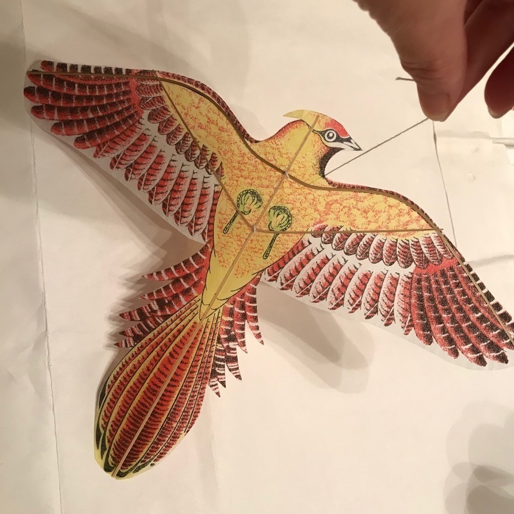 🔥 ON SALE 🔥 💖 Chinese Handmade Kite without spool
